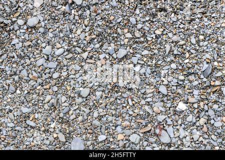 Graue Steine am Strand von Ilfracombe Stockfoto