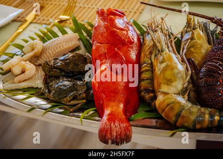 Verschiedene frische rohe Meeresfische und Meeresfrüchte zum Kochen im Restaurant. Garnelen, Hummer, rote und weiße Fische, Krabben. Angelfang. Hochwertige Fotos Stockfoto