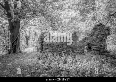 Schwarz-Weiß-Infraroteffekt eines alten zerstörten Gebäudes, das im Wald von Norfolk verloren gegangen ist. Stockfoto