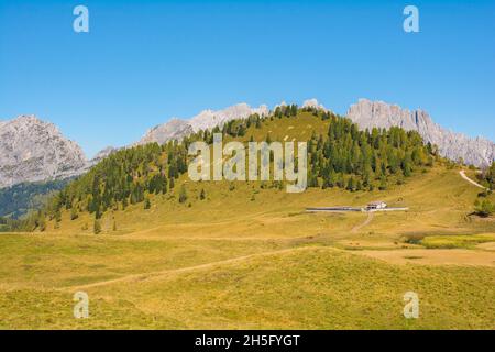 Ein Kuhschuppen-Gebäude auf der Bergwiese Laghi di Festons auf der Sella Festons bei Sauris di Sopra, Provinz Udine, Friaul-Julisch Venetien, Nordostitalien. Stockfoto