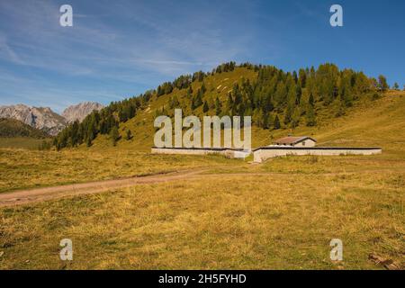 Ein Kuhschuppen-Gebäude auf der Bergwiese Laghi di Festons auf der Sella Festons bei Sauris di Sopra, Provinz Udine, Friaul-Julisch Venetien, Nordostitalien. Stockfoto