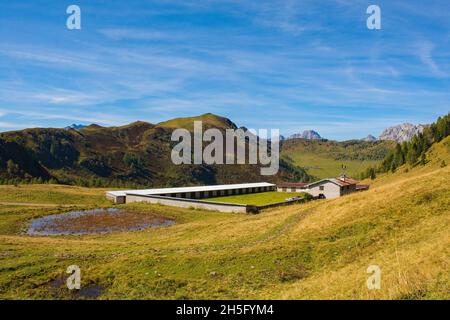 Ein Kuhschuppen-Gebäude auf der Bergwiese Laghi di Festons auf der Sella Festons bei Sauris di Sopra, Provinz Udine, Friaul-Julisch Venetien, Nordostitalien. Stockfoto