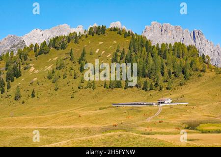 Ein Kuhschuppen-Gebäude auf der Bergwiese Laghi di Festons auf der Sella Festons bei Sauris di Sopra, Provinz Udine, Friaul-Julisch Venetien, Nordostitalien. Stockfoto