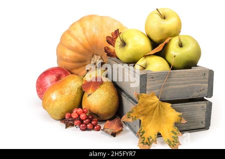 Äpfel und Birnen auf weißem Hintergrund mit weichem Schatten Stockfoto