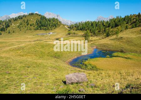 Almwiese Laghi di Festons auf den Sella Festons bei Sauris di Sopra, Provinz Udine, Friaul-Julisch Venetien, Italien. Eine Sommerweide für Milchkühe Stockfoto