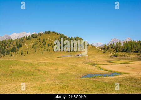 Almwiese Laghi di Festons auf den Sella Festons bei Sauris di Sopra, Provinz Udine, Friaul-Julisch Venetien, Italien. Eine Sommerweide für Milchkühe Stockfoto