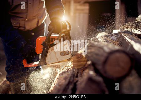 Kettensäge in Aktion Schneidholz. Man schneide Holz mit Säge, Staub und Bewegungen. Stockfoto