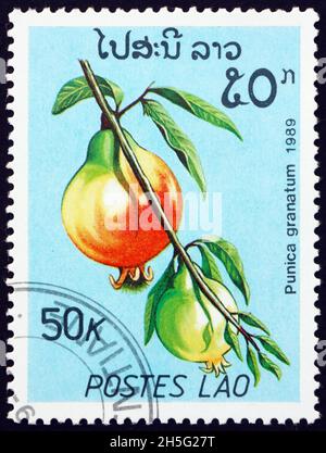 LAOS - UM 1989: Eine in Laos gedruckte Marke zeigt Granatapfel (punica granatum), essbare Früchte, die von diesem Strauch hergestellt wurden, um 1989 Stockfoto