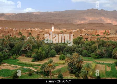 Der Tinghir-Palmenhain im Herzen des Todgha-Tals Stockfoto
