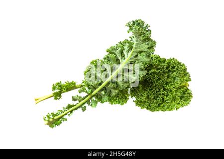 Winter-Gemüsekohl oder Grünblättriger Kohl, zwei lockige Blätter isoliert auf weißem Hintergrund, gesundes Essenskonzept, Kopierraum, ausgewählter Fokus Stockfoto