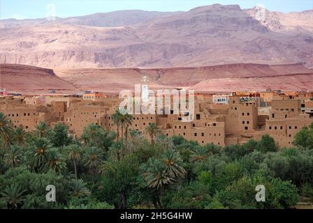Der Tinghir-Palmenhain im Herzen des Todgha-Tals Stockfoto