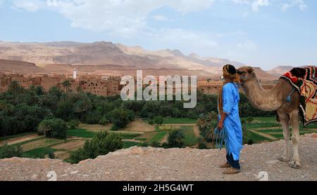 Der Tinghir-Palmenhain im Herzen des Todgha-Tals Stockfoto