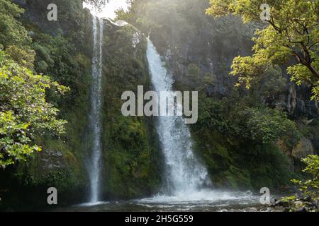 Dawson Falls Mount Taranaki, New Plymouth, Neuseeland Stockfoto