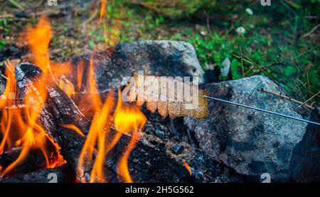 Gebratener Speck auf Lagerfeuer Flamme im Garten. Stockfoto