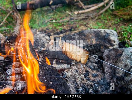 Gebratener Speck auf Lagerfeuer Flamme im Garten. Stockfoto