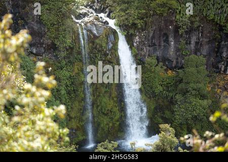 Dawson Falls Mount Taranaki, New Plymouth, Neuseeland Stockfoto