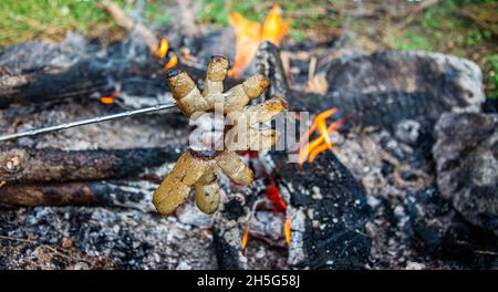 Gebratener Speck auf Lagerfeuer Flamme im Garten. Stockfoto