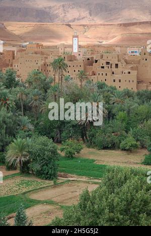 Der Tinghir-Palmenhain im Herzen des Todgha-Tals Stockfoto