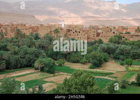 Der Tinghir-Palmenhain im Herzen des Todgha-Tals Stockfoto