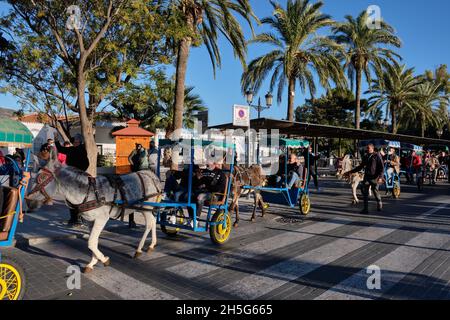 Esel - Burro Taxi mit Kutschen, Mijas Pueblo, Provinz Malaga, Andalusien, Spanien. Stockfoto
