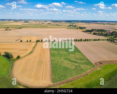 Luftaufnahme auf Feldern im Sommer rund um das Dorf Dziekanowice in Polen Stockfoto