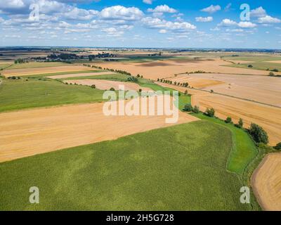 Luftaufnahme auf Feldern im Sommer rund um das Dorf Dziekanowice in Polen Stockfoto