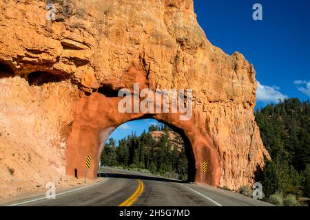 Fahren Sie durch den roten Steinbogen über den Highway im Red Rock Canyon Utah. Stockfoto