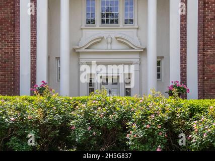 Eleganz - Rosebush Hecke, die in voller Sonne vor dem schattigen verschwommenen reich verzierten Eingang zu gehobenem Backstein und Stuck Haus mit Säulen getrimmt werden muss Stockfoto