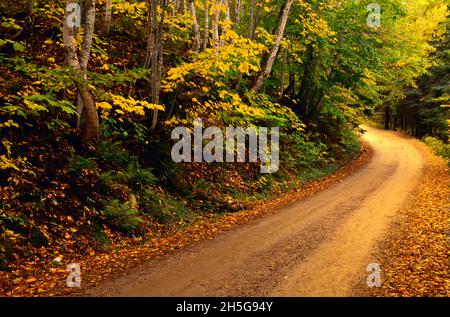 Straße in der Nähe Beulach Ban fällt, Cape Breton Highlands Nat Park, Nova Scotia, Kanada Stockfoto