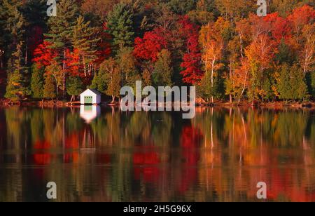 Meech Lake im Herbst, Gatineau Park, Quebec, Kanada Stockfoto