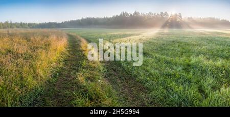 Schöne Morgenlandschaft mit Straße zwischen Wiesen und Sonnenstrahlen, Sommerblick Stockfoto