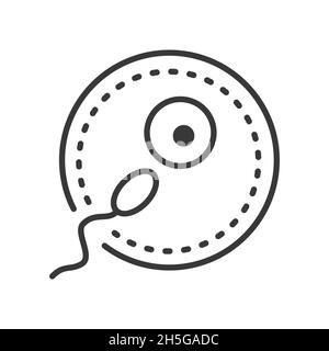 Befruchtung - Vektorlinie Design einzelnes isoliertes Symbol auf weißem Hintergrund. Hochwertiges schwarzes Piktogramm. Sperma dringt in die Eizelle ein. Eine Chil zu konzipieren Stock Vektor