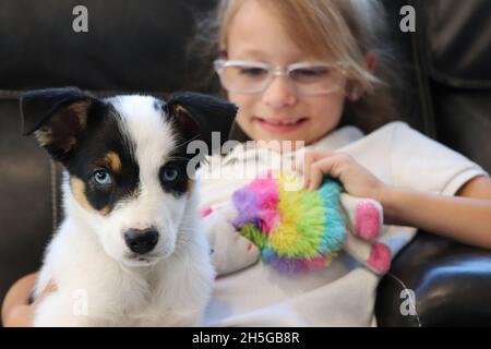 Kind spielt mit ihrem besten Freund, einem Welpen Stockfoto