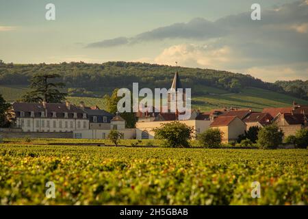 Das Dorf Vosne-Romanée in Burgund Stockfoto