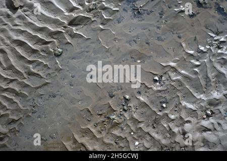 Natürliche strukturierte Oberfläche aus nassem Sand und kleinen Steinen an einem Strand in den niederlanden Stockfoto