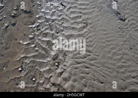 Natürliche strukturierte Oberfläche aus nassem Sand und kleinen Steinen an einem Strand in den niederlanden Stockfoto