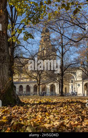 München: Theatinerkirche aus dem Hofgarten im Spätherbst. Stockfoto