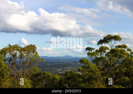 Blick vom Mt Coot tha in der Nähe von Brisbane Australia auf Vororte und Berge im Hintergrund, eingerahmt von hohen Gummibäumen Stockfoto