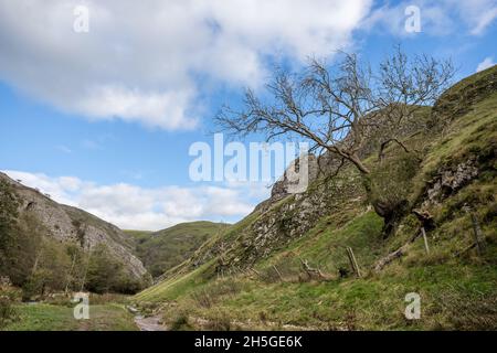 Das Dovedale-Tal im Peak District wurde im Herbst gefangen genommen. Stockfoto