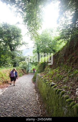 Kopfsteinpflaster Pfad hinunter in Clovelly, Devon Stockfoto