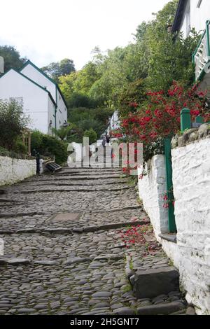 Pflastersteintreppe hinunter in Clovelly Stockfoto