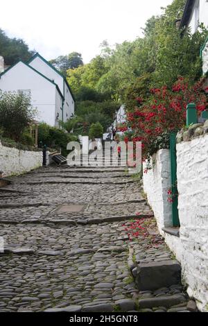 Pflastersteintreppe hinunter in Clovelly Stockfoto