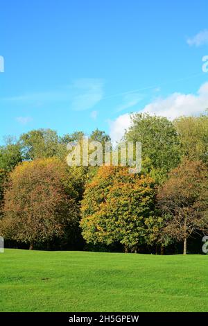 Abington Park mit Herbstfarben in Northampton England Stockfoto