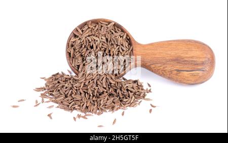 Kreuzkümmelsamen in Holzlöffel, isoliert auf weißem Hintergrund. Kümmel trocknen. Stockfoto