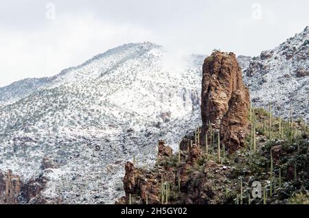 Schnee in der sonoran Wüste Stockfoto