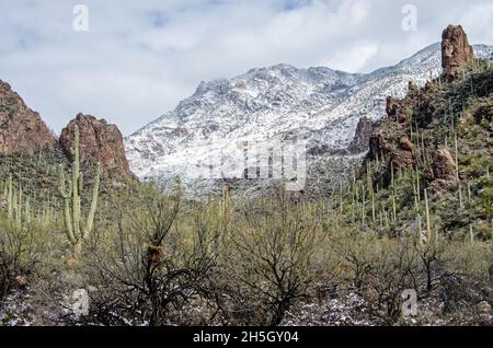 Schnee in der sonoran Wüste Stockfoto