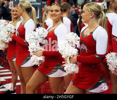 Columbus, Ohio, USA. November 2021. Cheerleader der Ohio State Buckeys treten auf, bevor der Ohio State Akron in ihrem Spiel in Columbus, Ohio, spielt. Kredit: csm/Alamy Live Nachrichten Stockfoto