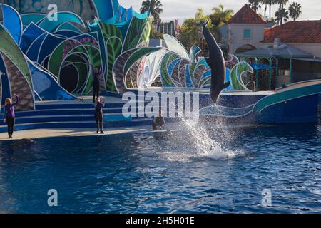 Süße Delfine spielen auf der Show in SeaWorld San Diego Stockfoto