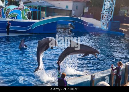 Süße Delfine spielen auf der Show in SeaWorld San Diego Stockfoto