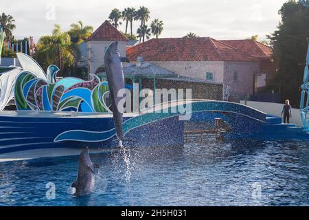 Süße Delfine spielen auf der Show in SeaWorld San Diego Stockfoto